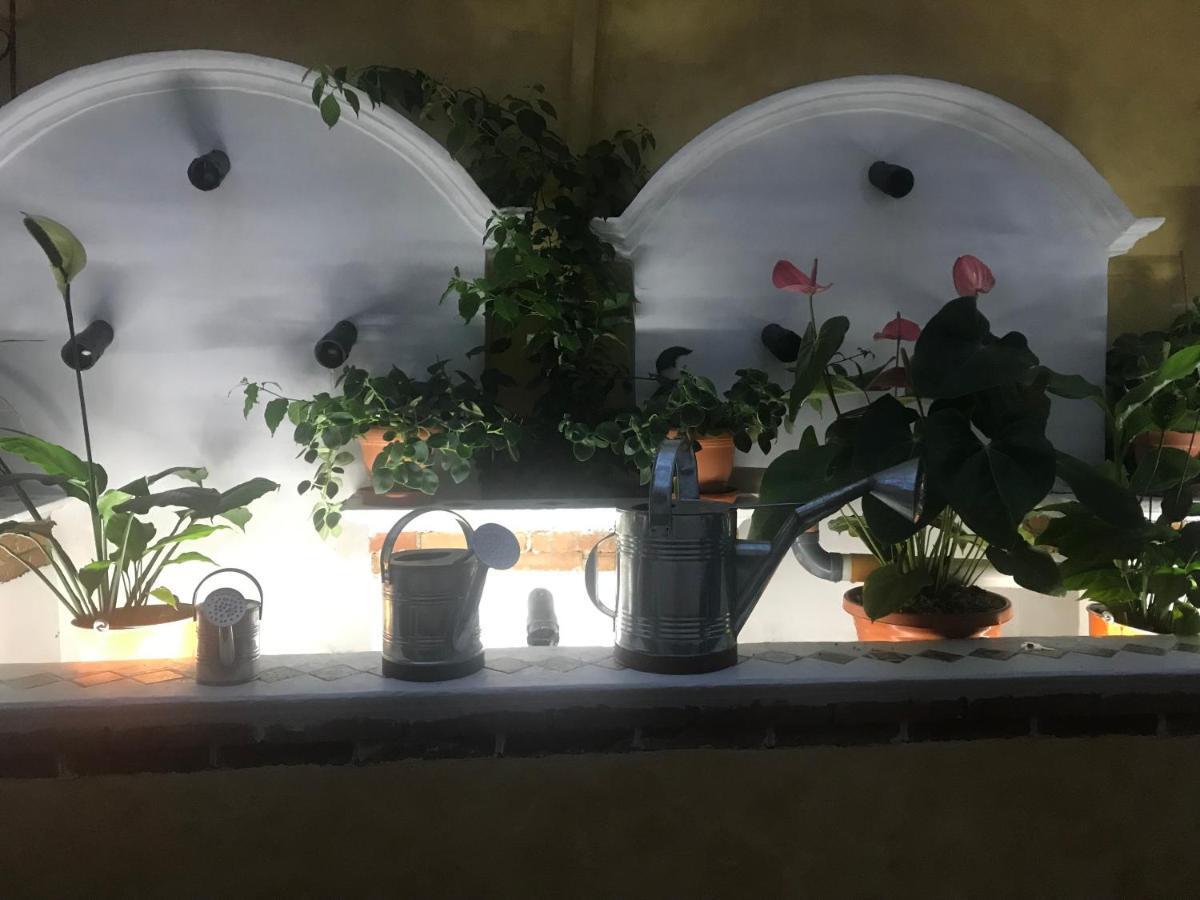 Hotel Boutique Casa Jose Cobán 外观 照片